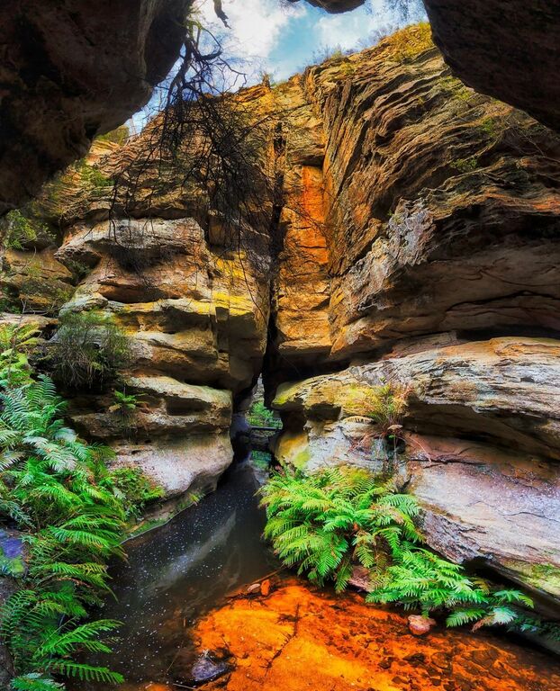 Blue Mountains