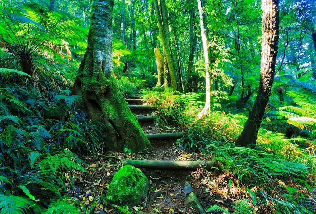 Blue Mountains