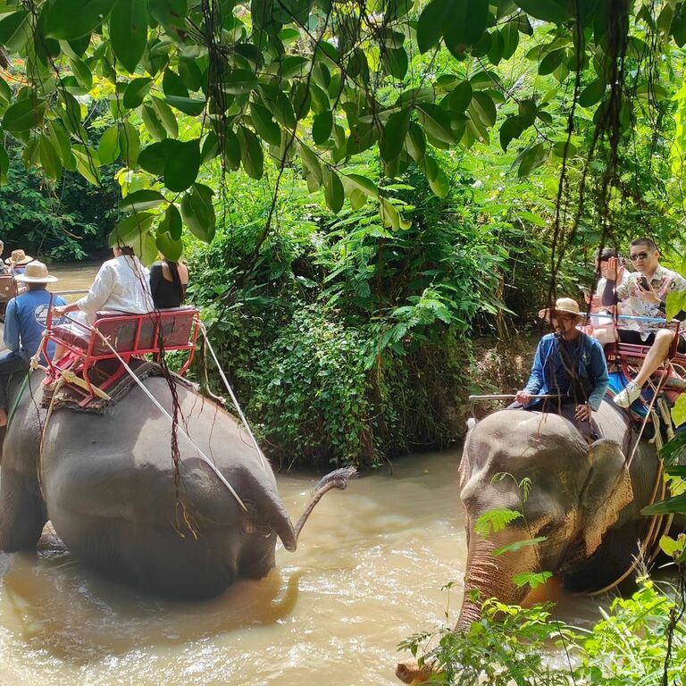 Elephant Village Pattaya