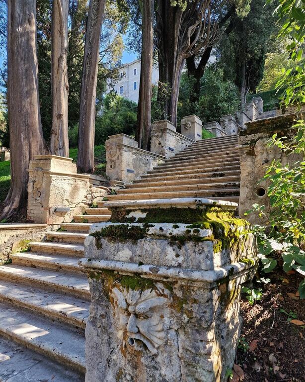 Explore the beautiful garden