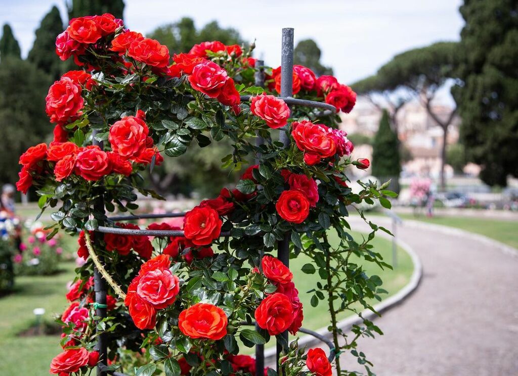 Roseto Comunale