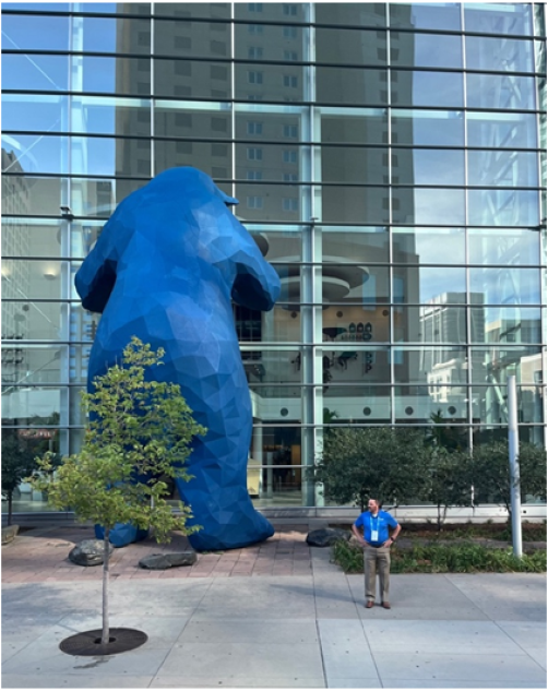 Blue Bear