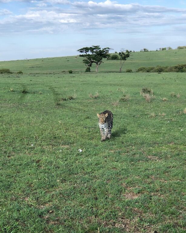 Maasai Mara National Reserve, Kenya