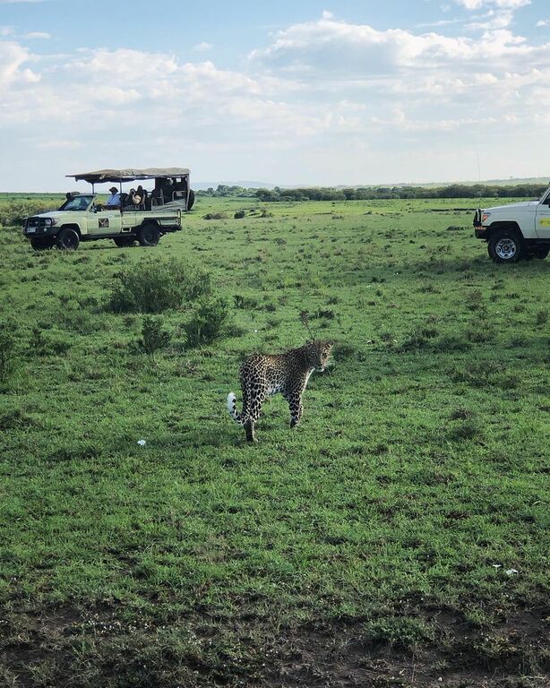 Maasai Mara National Reserve, Kenya