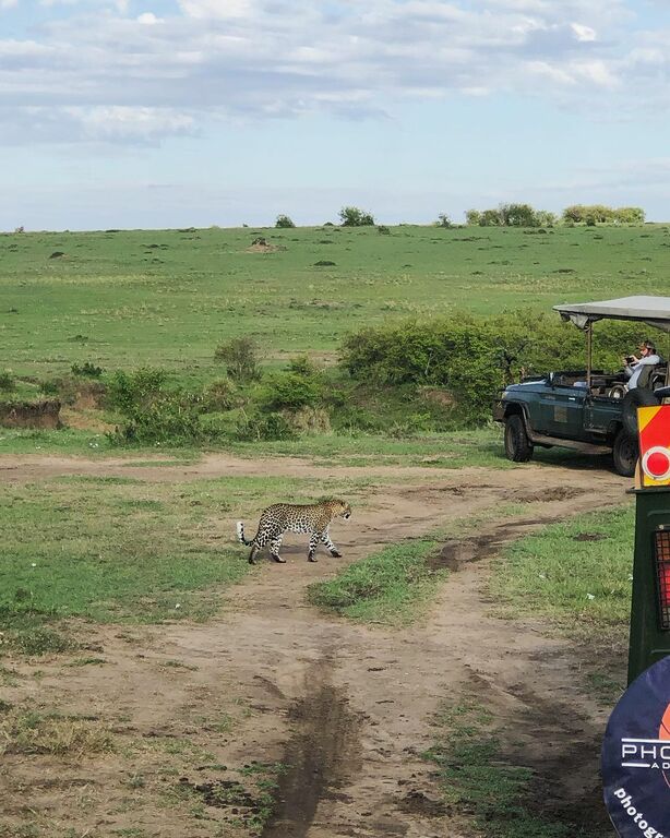 Maasai Mara National Reserve, Kenya