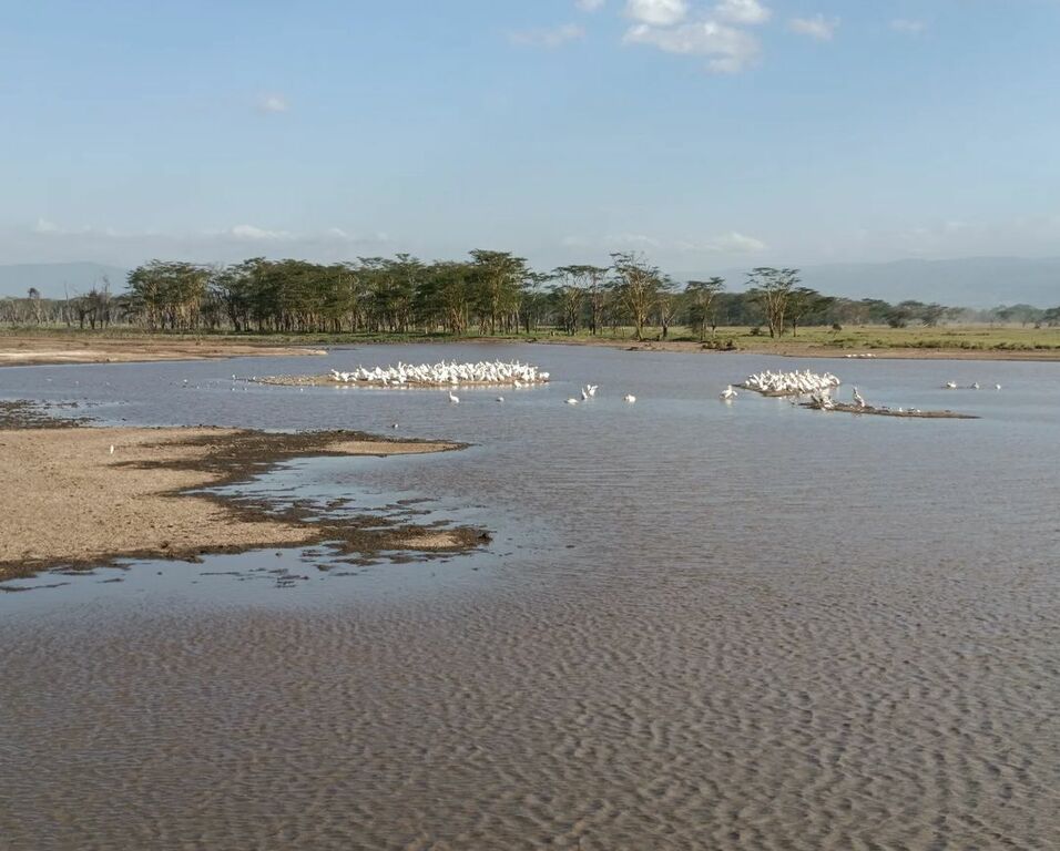 Lake Nakuru National Park