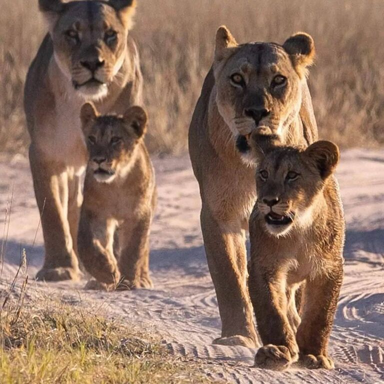 Kruger National Park