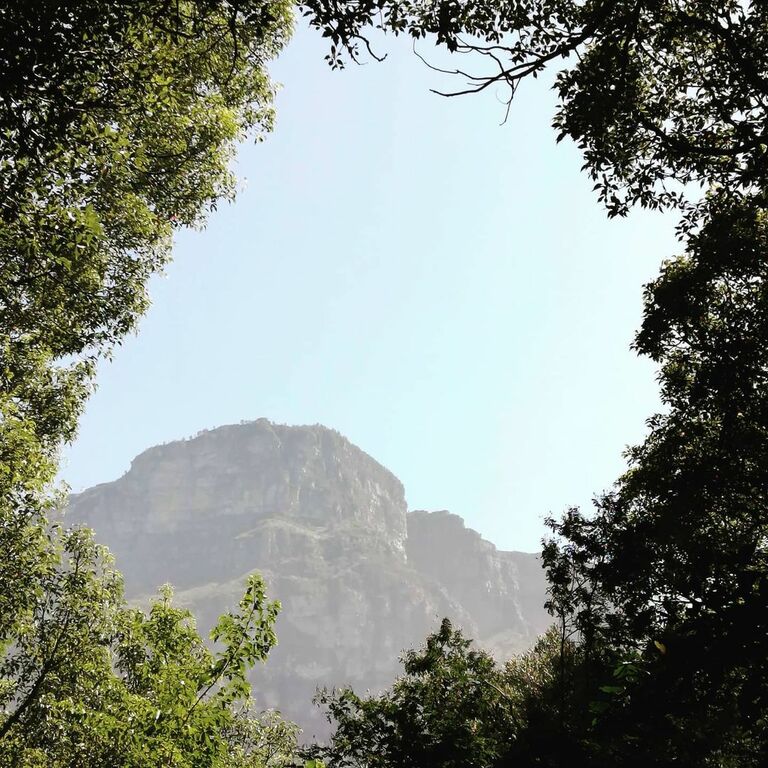 Kirstenbosch National Botanical Garden