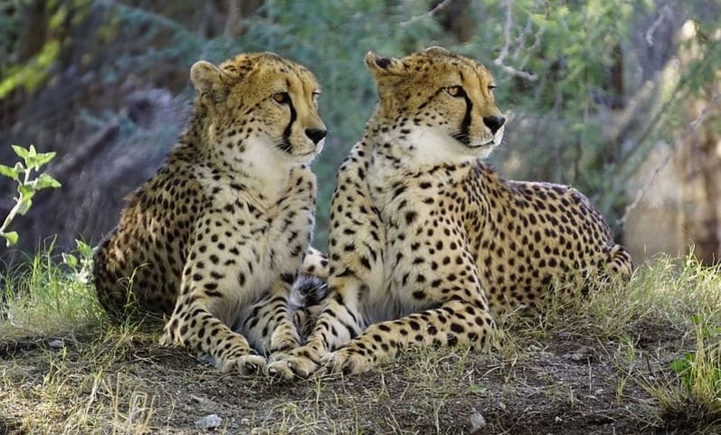 Kruger National Park