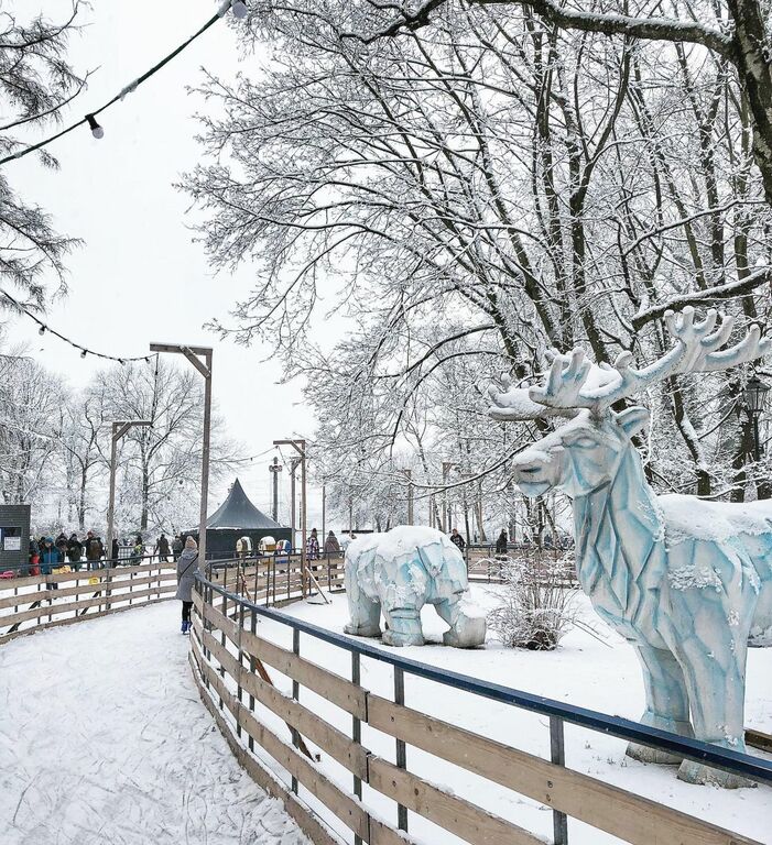 Ice skating