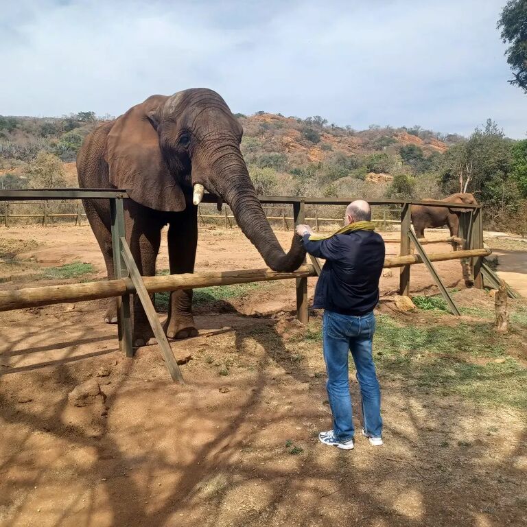 Elephant Sanctuary Hartbeespoort