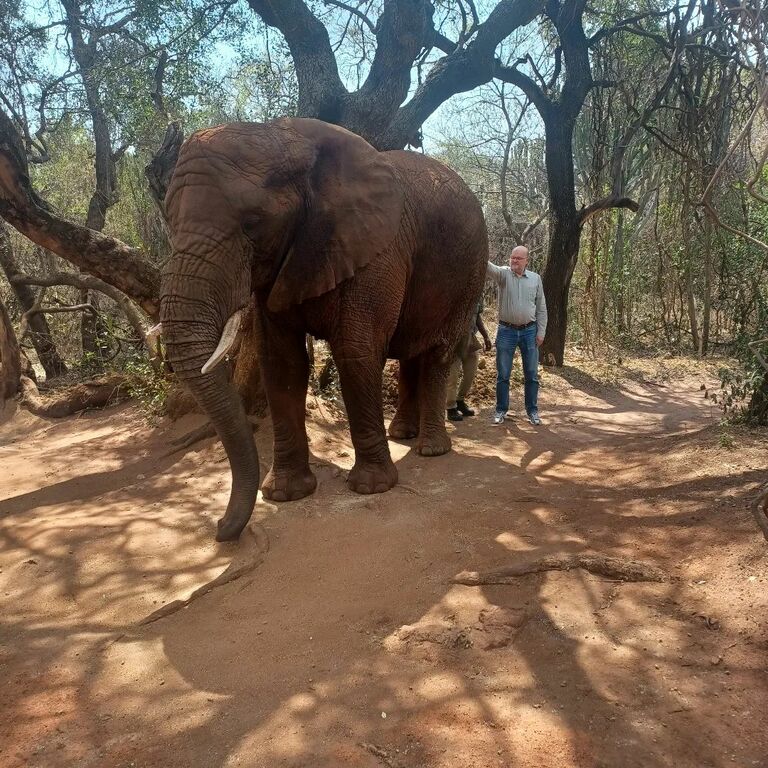 Elephant Sanctuary Hartbeespoort