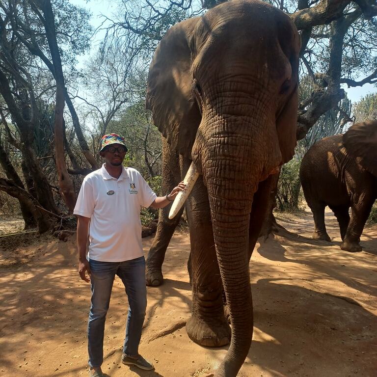Elephant Sanctuary Hartbeespoort
