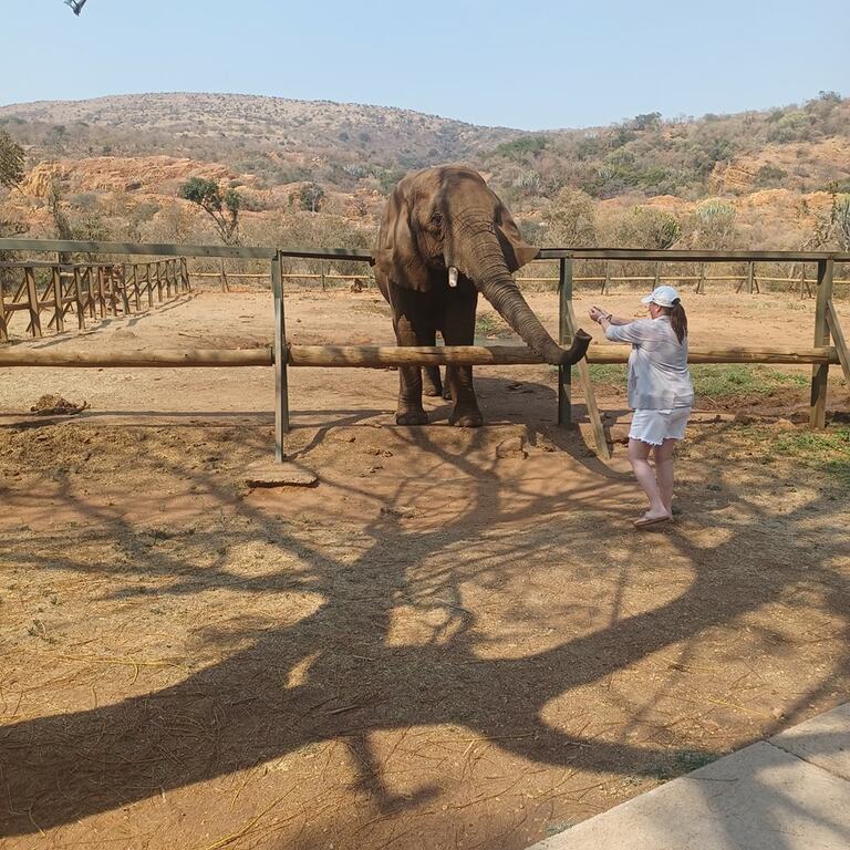 Elephant Sanctuary Hartbeespoort