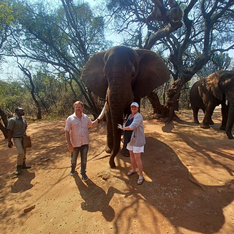 Elephant Sanctuary Hartbeespoort