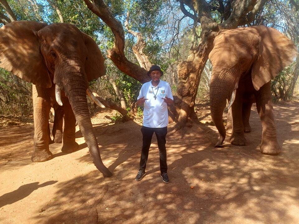 Elephant Sanctuary Hartbeespoort