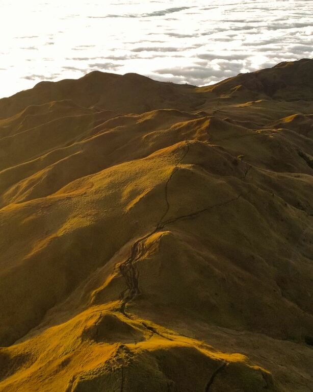 Mount Pulag
