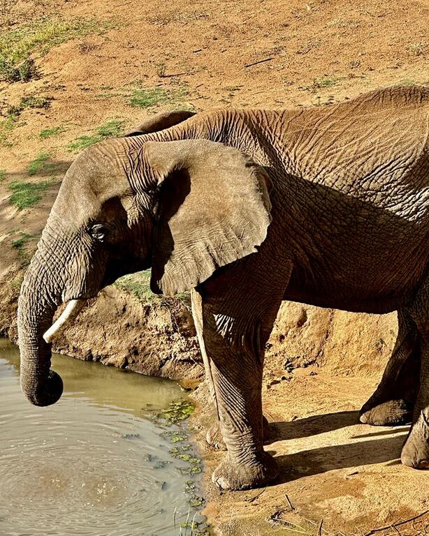 Pilanesberg National Park, South Africa