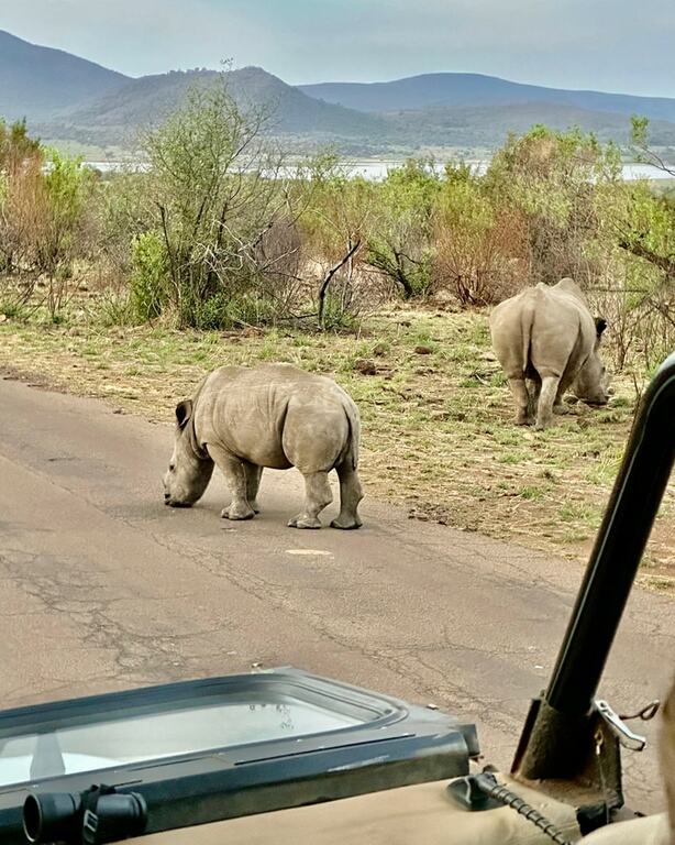 Pilanesberg National Park, South Africa