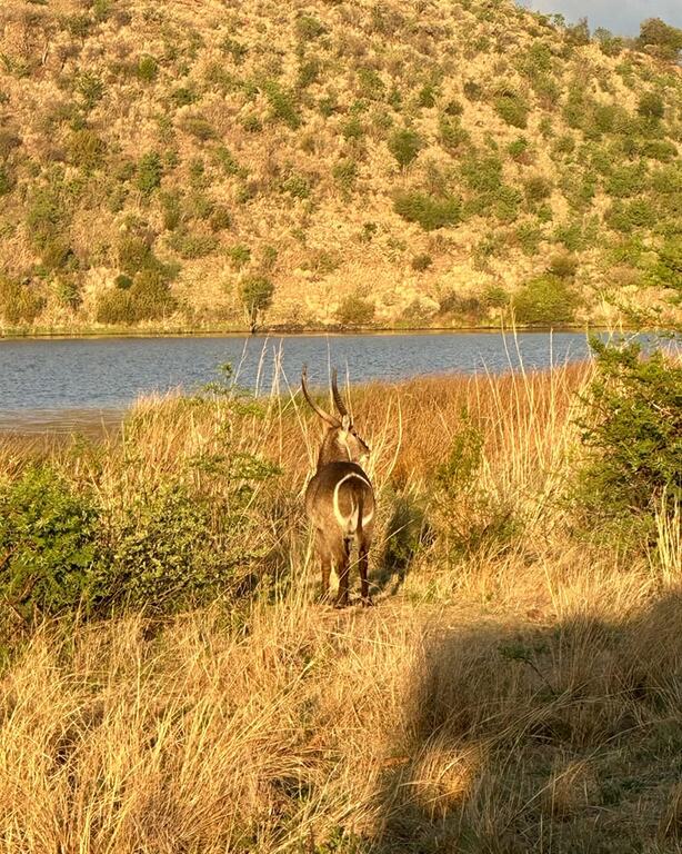 Pilanesberg National Park, South Africa