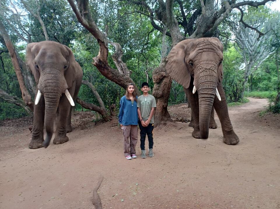 Elephant Sanctuary Hartbeespoort