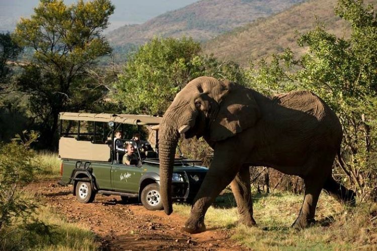 Pilanesberg National Park