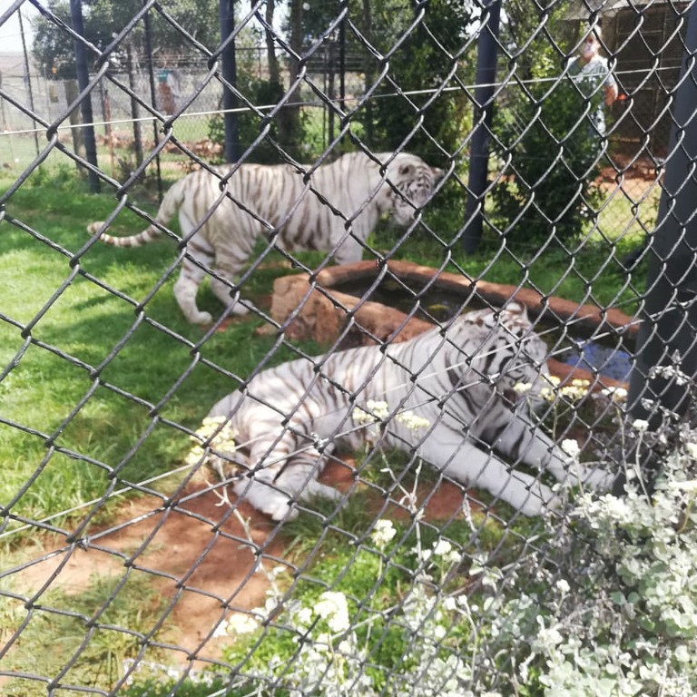 Bothongo Rhino & Lion Nature Reserve