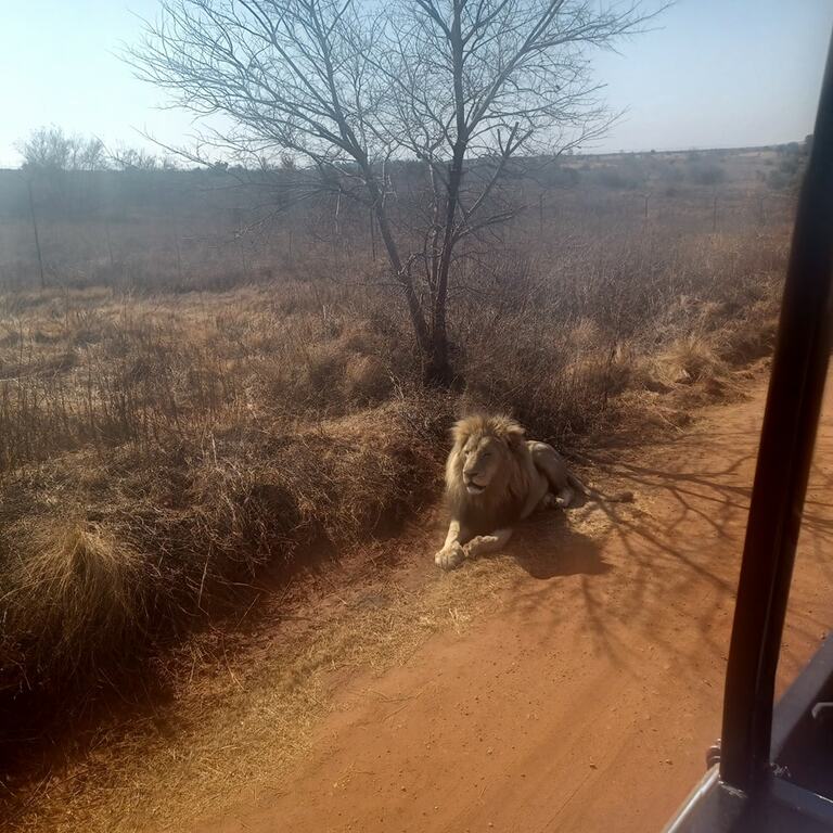 Rhino and Lion Nature Reserve