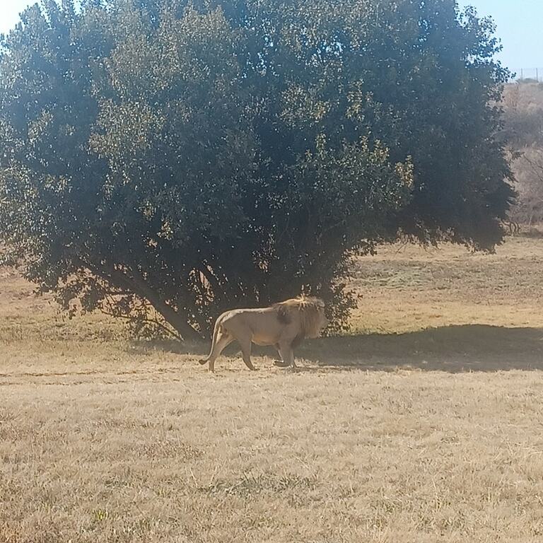 Rhino and Lion Nature Reserve