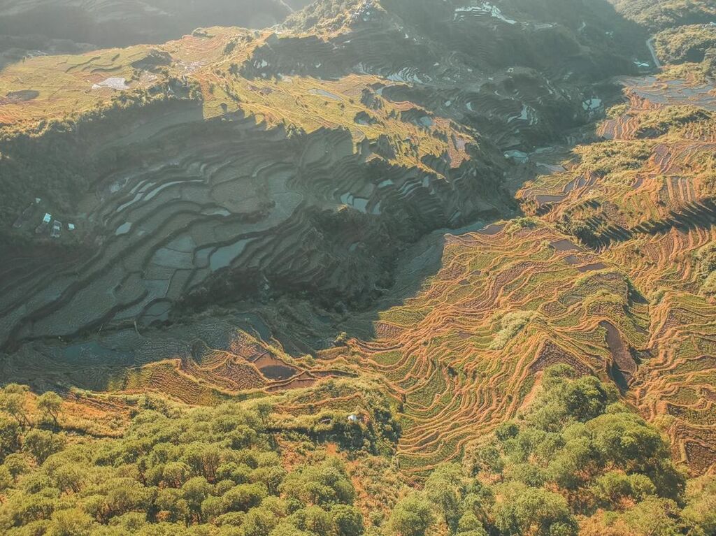 Bontoc