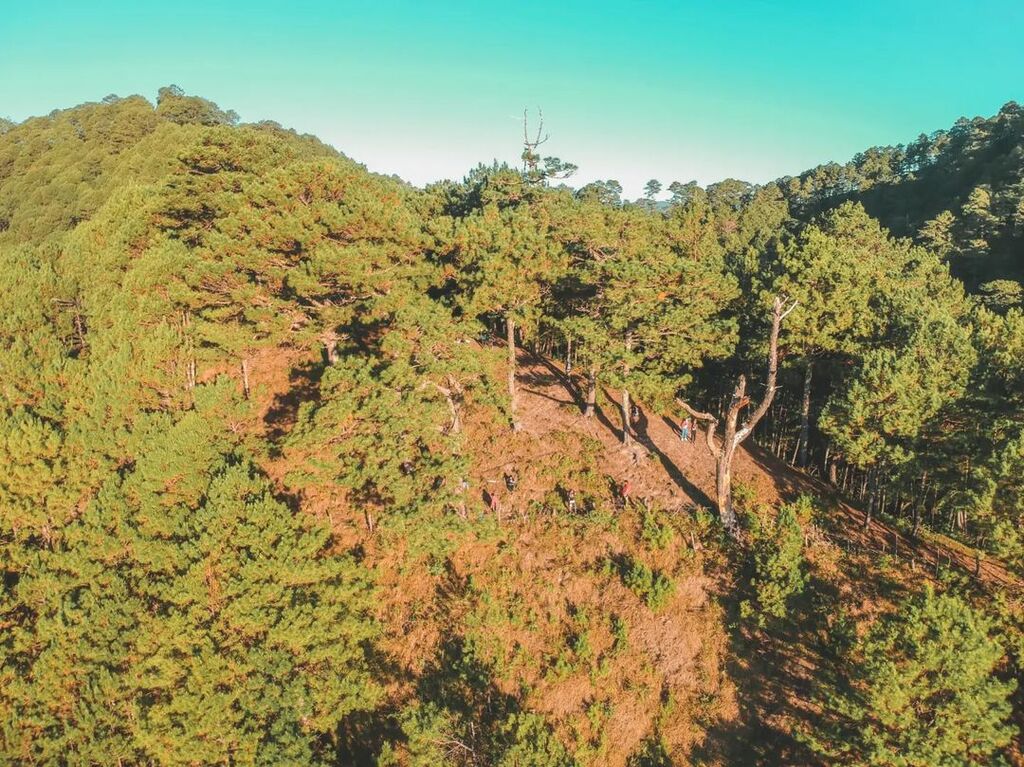 Bontoc