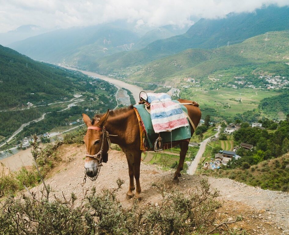 Tiger Leaping Gorge