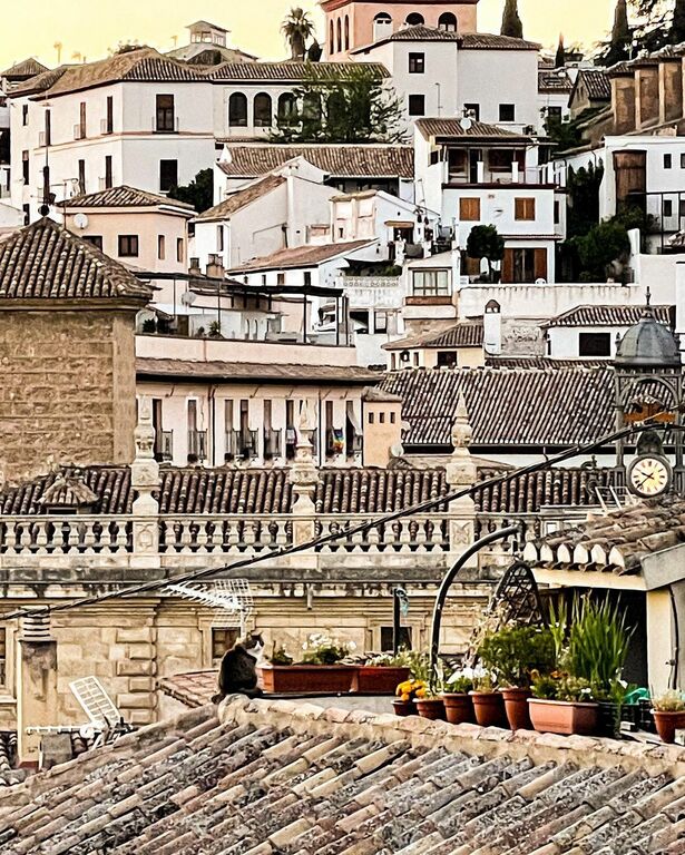 Photo from the terrace of Restaurante Alarique