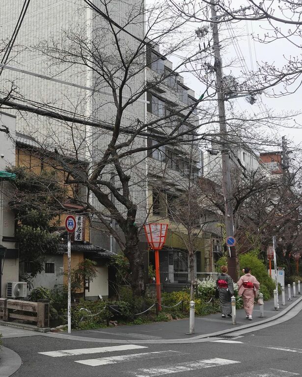 Arashiyama