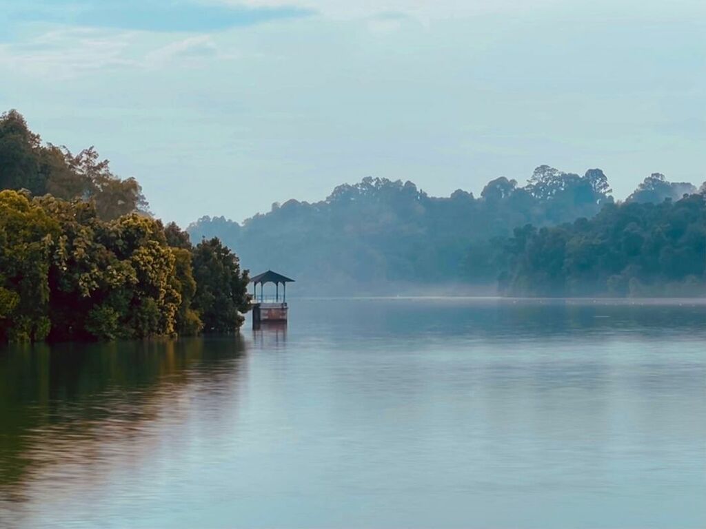 MacRitchie Reservoir,