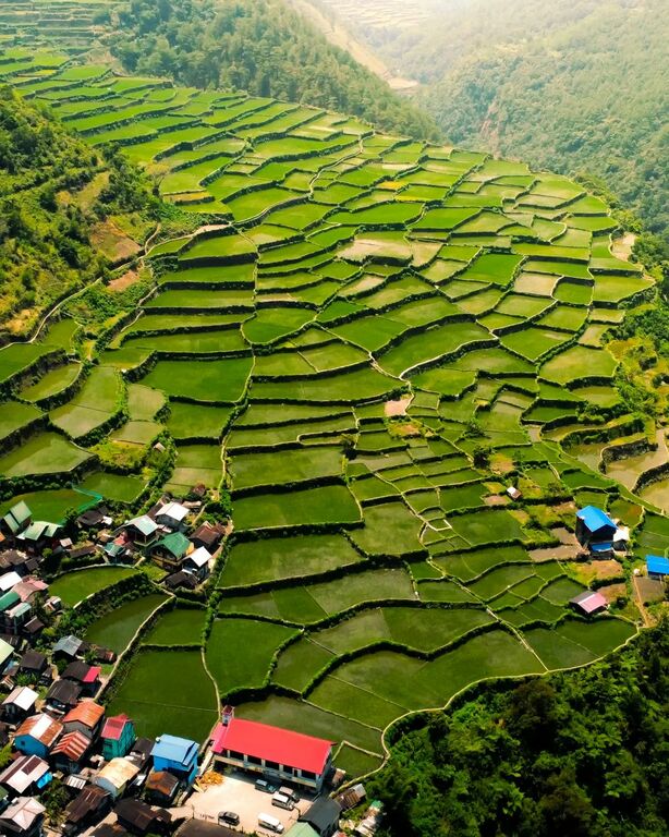Bay-yo Rice Terraces