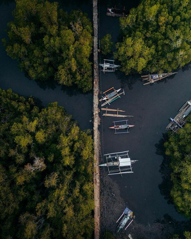 Bohol