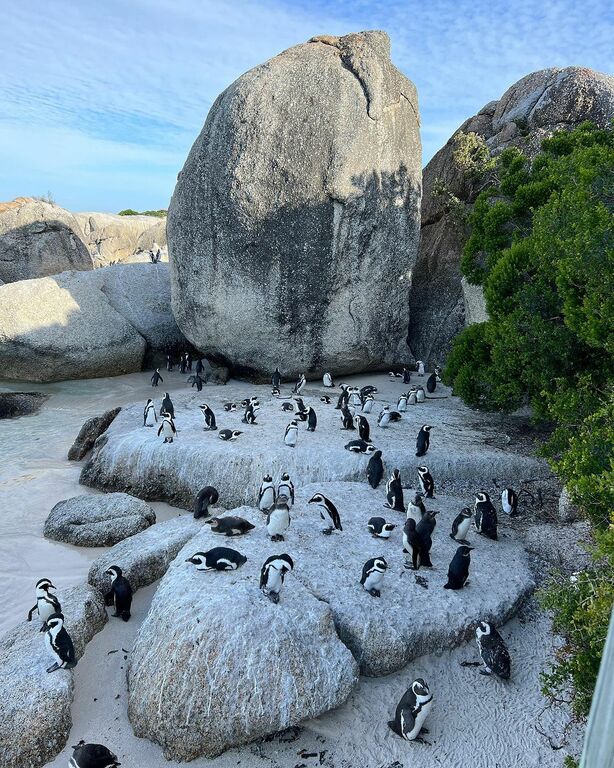 Cape Town