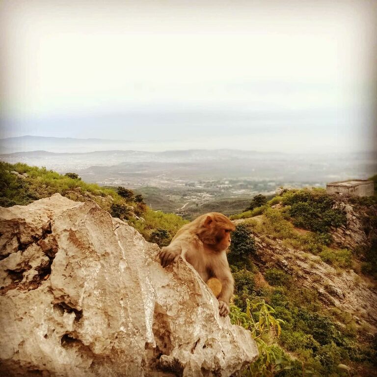 Margalla Hills