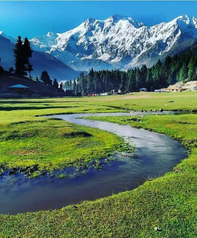 View of Nanga Parbat from Fairy Meadows