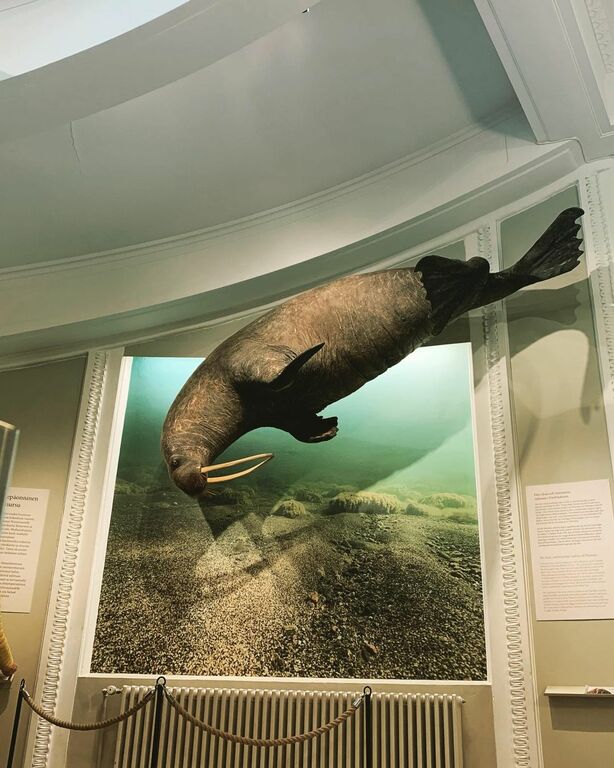 Finnish Museum of Natural History