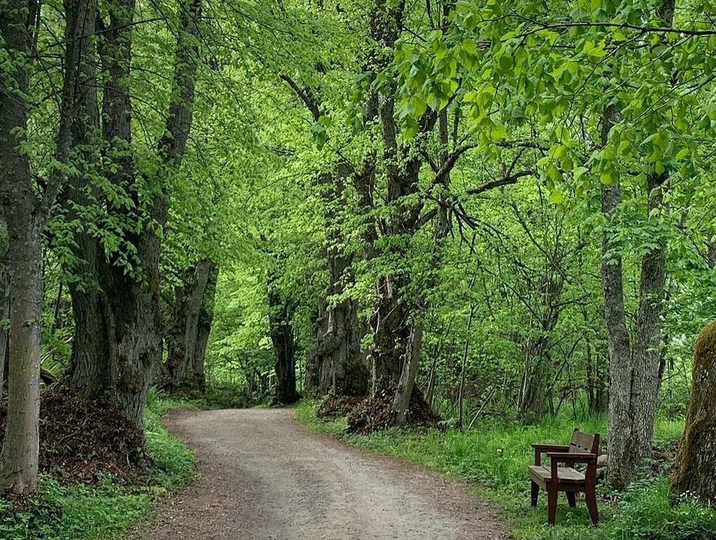 Vallisaari