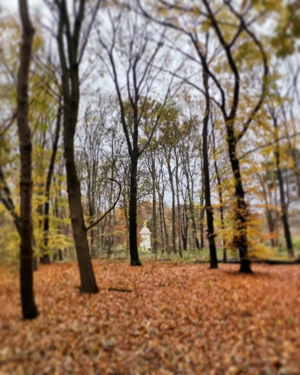 Tiergarten in Autumn