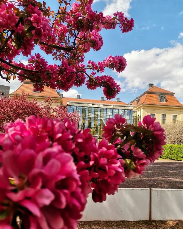 Jewish Museum in Spring