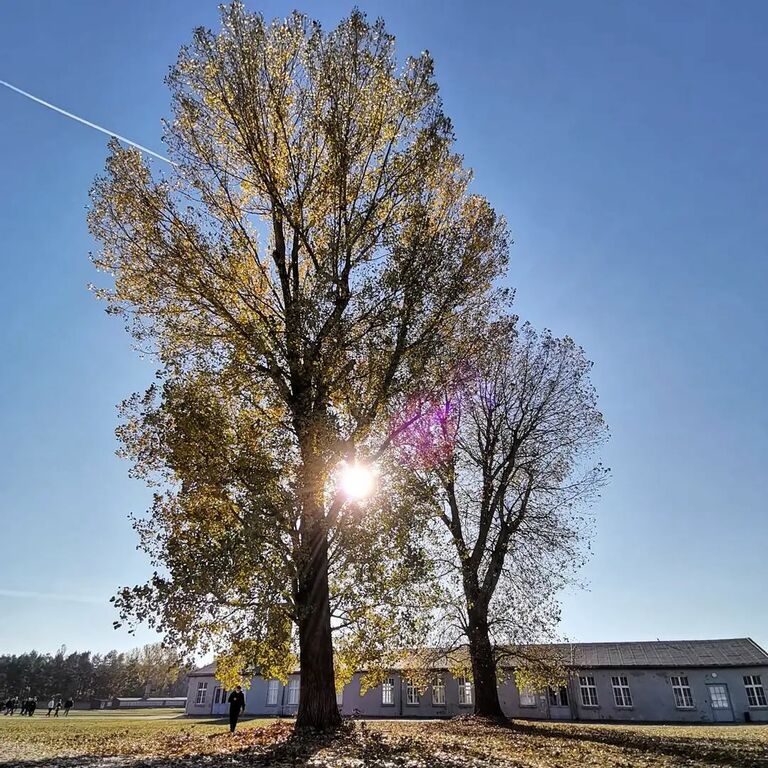 Memorial and Museum Sachsenhausen