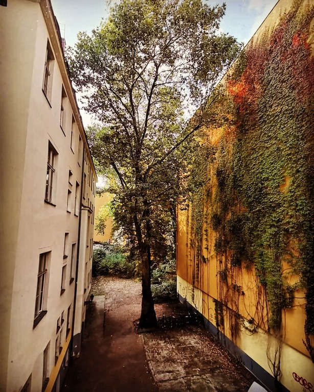 Kastanienallee
