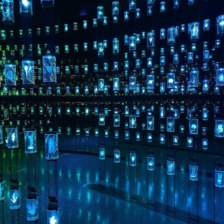 Museum of The Future