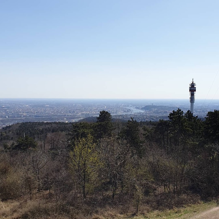 Károly Guckler Lookout