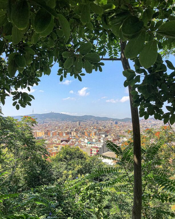 View from Mount Montjuic
