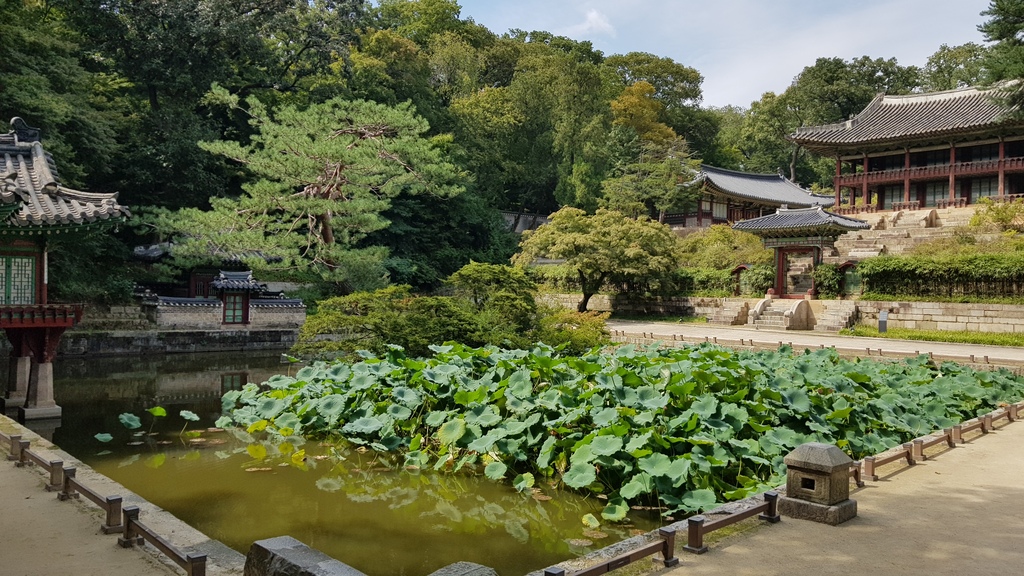 Changdeokgung palace
